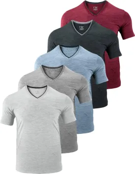 5 Pack Mens V-Neck Dry Fit T-Shirts, Active Athletic Short Sleeve Workout Tops, Performance Gym Tees (Available in Plus Size)