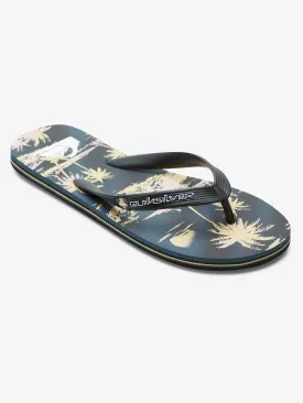 Mens Molokai Air Flow Flip Flops