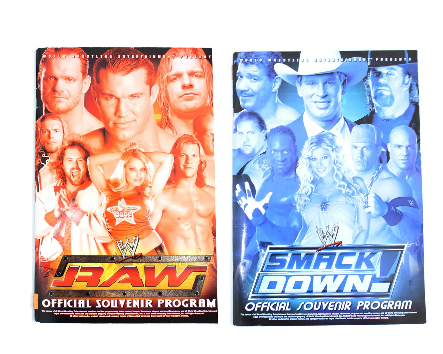 WWE 2004 LIVE EVENT PROGRAM